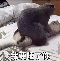 字母圈双属性的快乐你不懂:我胃口大,既馋S,又馋M 字母圈双属性的快乐你不懂:我胃口大,既馋S,又馋M