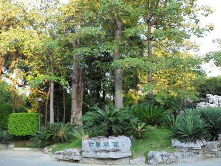 字母圈被骗多次后,我放弃找主人了 字母圈被骗多次后,我放弃找主人了