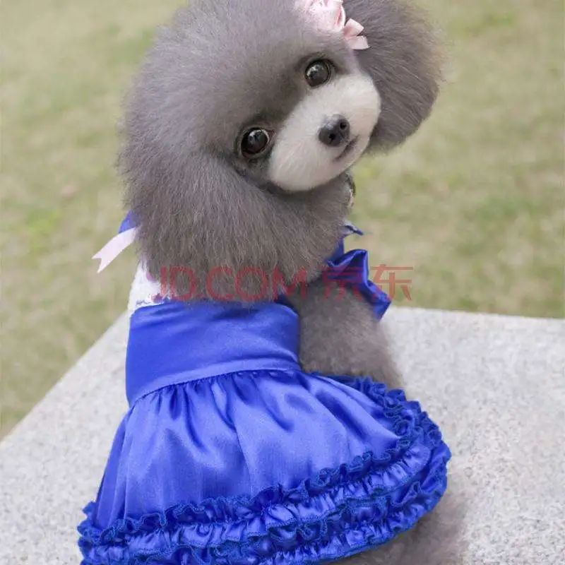 字母圈干货来了!走进BDSM中的伪娘——Sissy Maid 字母圈干货来了!走进BDSM中的伪娘——Sissy Maid