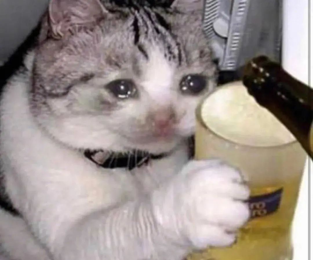 字母圈科普|我有想被主人骂“低贱小辣鸡”的奇怪属性,越卑微却越过瘾?! 字母圈科普|我有想被主人骂“低贱小辣鸡”的奇怪属性,越卑微却越过瘾?!