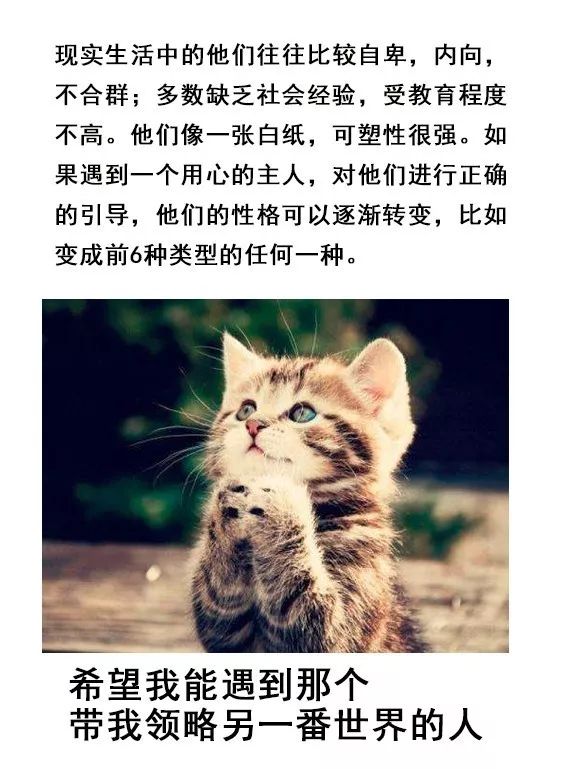 字母圈你了解ta是哪种M么?就找M找M找M 字母圈你了解ta是哪种M么?就找M找M找M