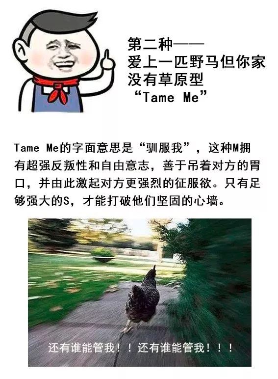 字母圈你了解ta是哪种M么?就找M找M找M 字母圈你了解ta是哪种M么?就找M找M找M