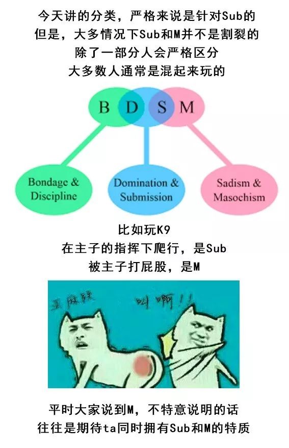 字母圈你了解ta是哪种M么?就找M找M找M 字母圈你了解ta是哪种M么?就找M找M找M