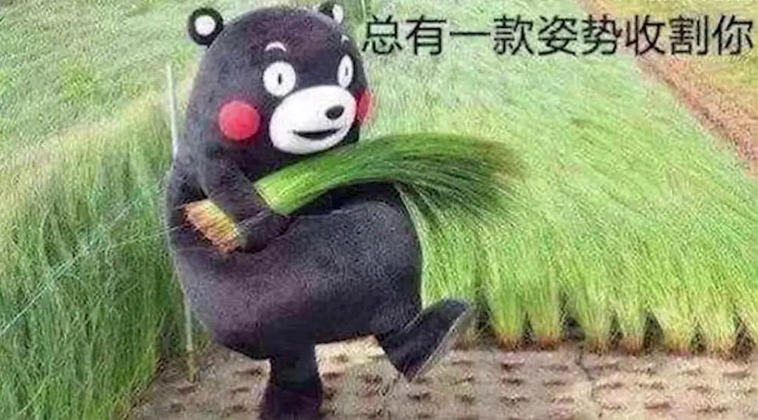 字母圈鉴定网络热门“伪Dom”生物 字母圈鉴定网络热门“伪Dom”生物