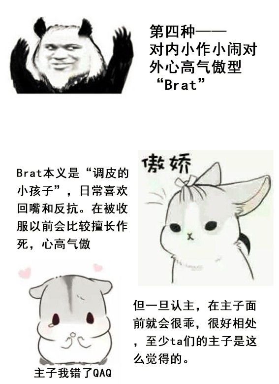 字母圈你了解ta是哪种M么?就找M找M找M 字母圈你了解ta是哪种M么?就找M找M找M