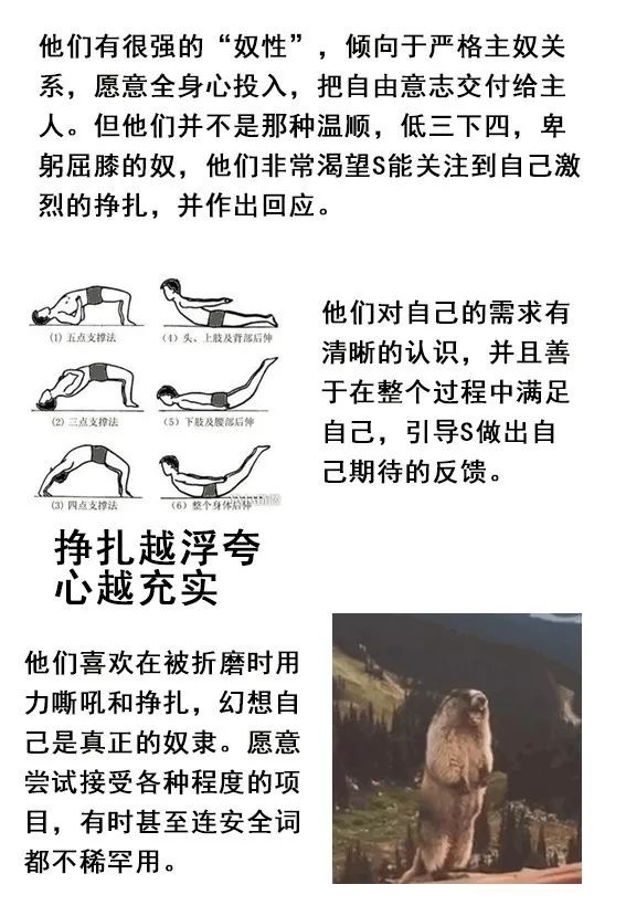 字母圈你了解ta是哪种M么?就找M找M找M 字母圈你了解ta是哪种M么?就找M找M找M