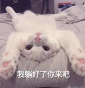 字母圈“dom/sub字母圈DDLG 字母圈“dom/sub字母圈DDLG