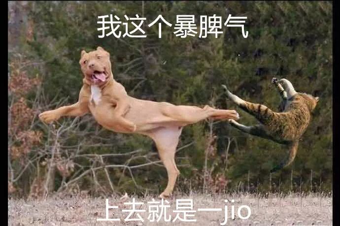 字母圈怎么找属于自己的女m 字母圈怎么找属于自己的女m