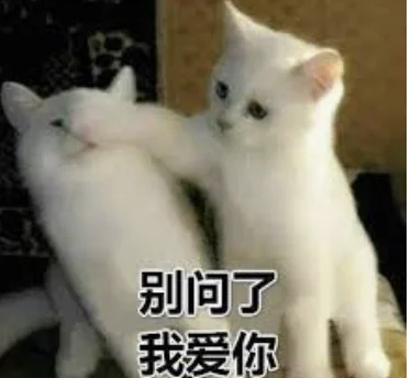 字母圈“dom/sub字母圈DDLG 字母圈“dom/sub字母圈DDLG