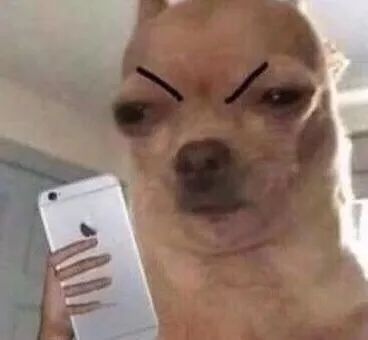 字母圈遇到哪些事,会让你分分钟想退圈? 字母圈遇到哪些事,会让你分分钟想退圈?