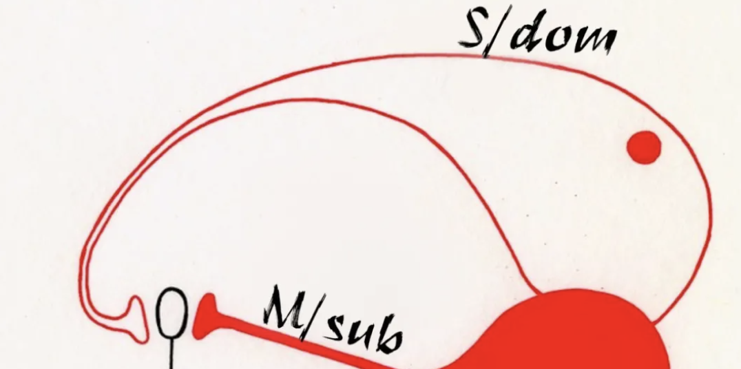 字母圈BDSM新人完全指南