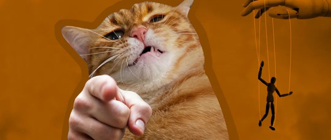 字母圈BDSM新人完全指南