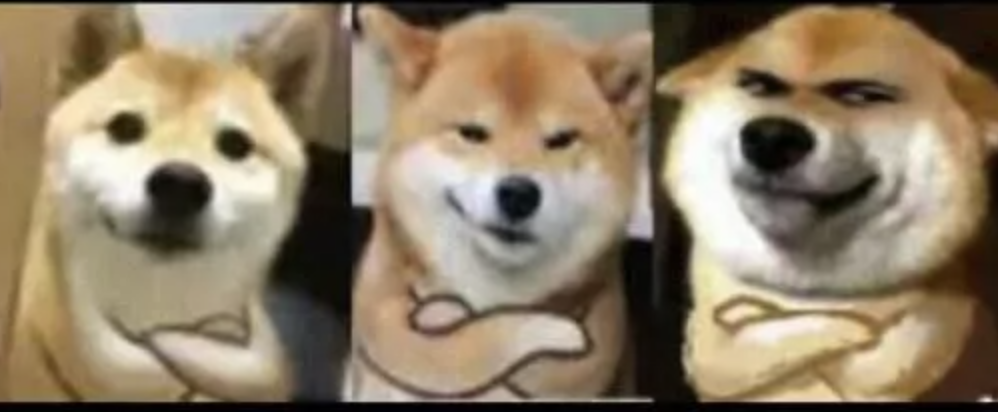 字母圈BDSM新人完全指南