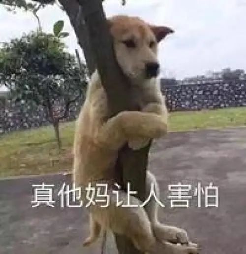 字母圈认真地谈谈BDSM 字母圈认真地谈谈BDSM