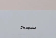 字母圈论“Discipline”:纪律为何变得性感?-瘾欢
