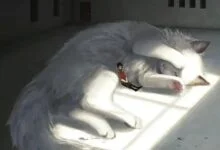 如何做一个有吸引力的sub（下）-瘾欢