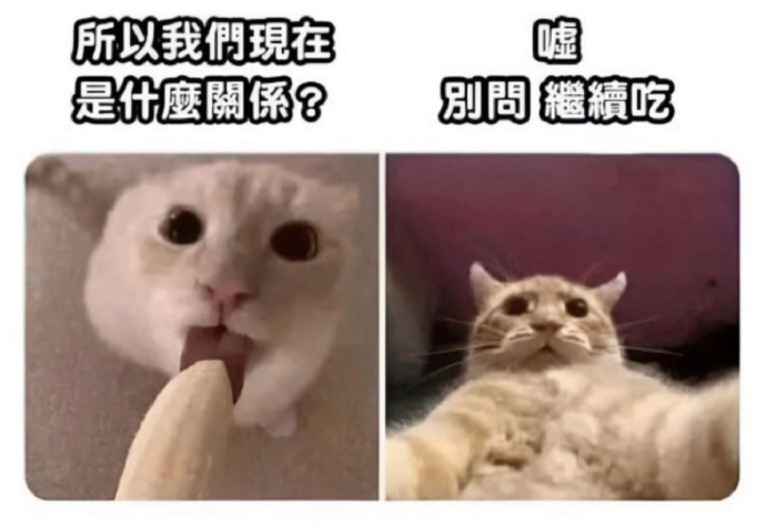 字母圈“我们是什么关系？”为何会成为“最好用安全词”