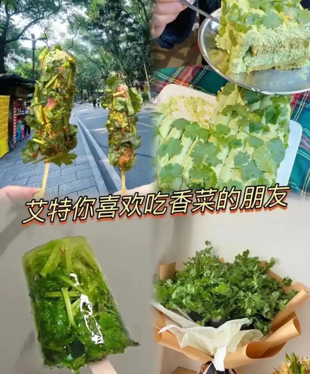 字母圈谁家好S会用大闸蟹钳子当夹子啊？！！！