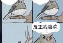 四爱女主人生高光时刻-瘾欢