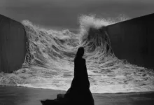 华人字母圈当主导者摘下权力面具-瘾欢