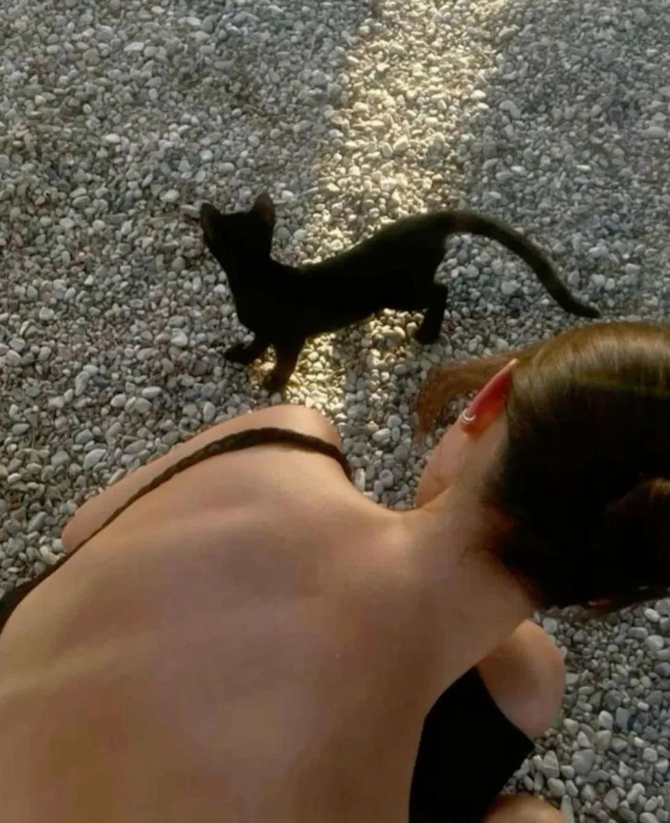 如何找到你字母圈生涯的第一个M（下篇）