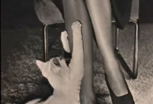 字母圈ABDL成人婴儿/尿布爱好者的小世界-瘾欢