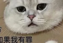 性缩力大赛dirty talk方言大赏(第三期)-瘾欢