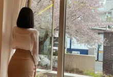 字母圈科普篇:网调-瘾欢