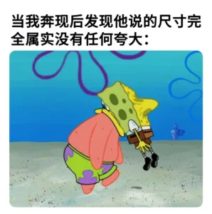字母圈梗图当你的S是足控…