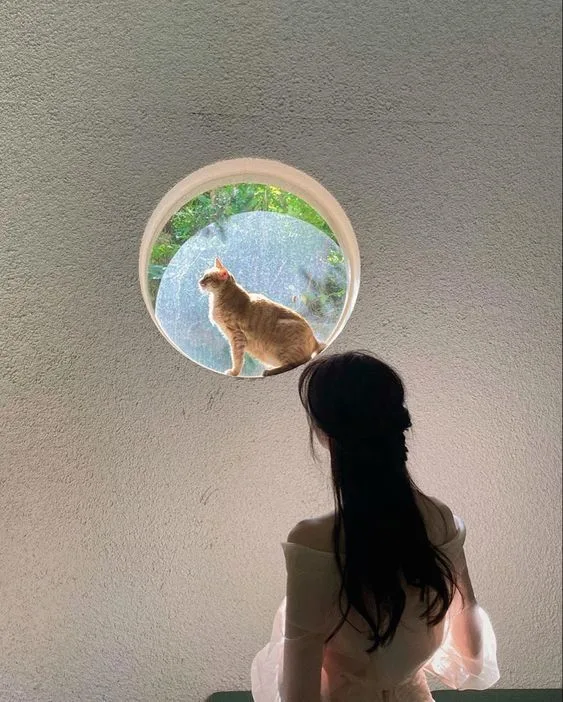 挑剔到没人能跪的女S 挑剔到没人能跪的女S