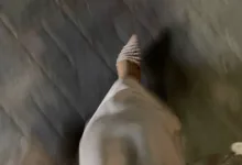 字母圈年龄差真正决定关系质量的是什么-瘾欢