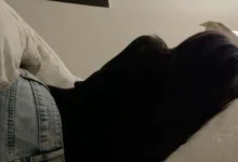 做网调任务之后被拉黑怎么办?-瘾欢