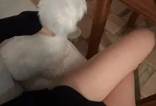 我不敢用安全词怕他不高兴-瘾欢