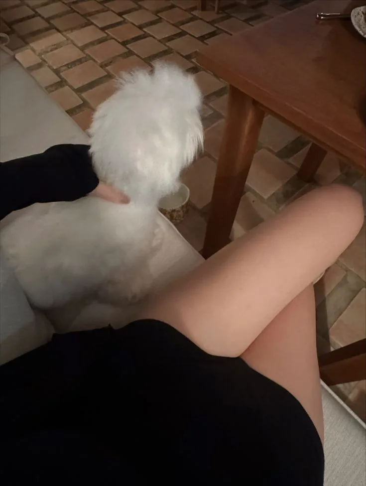 我不敢用安全词怕他不高兴