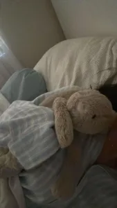 加拿大字母圈吵架并不可怕