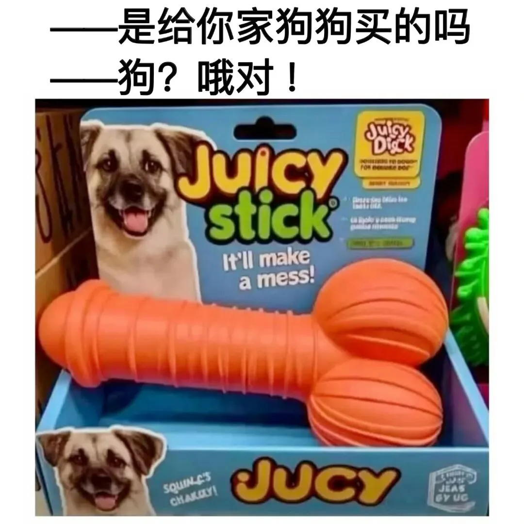 字母圈梗图抖M所有xp一次全满足…