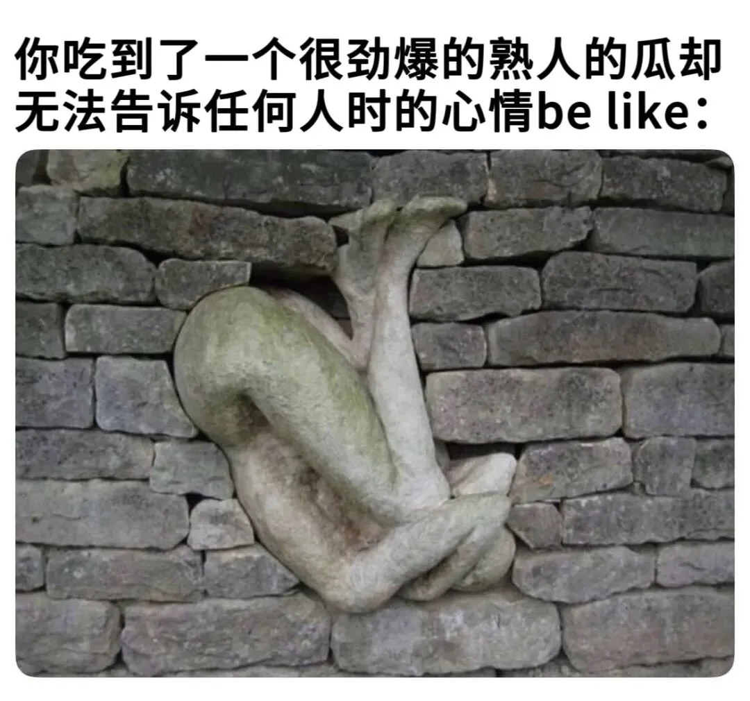 字母圈梗图抖M所有xp一次全满足…