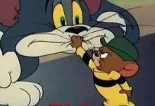 “俺不中咧”:菜狗S如何体面认怂?-瘾欢