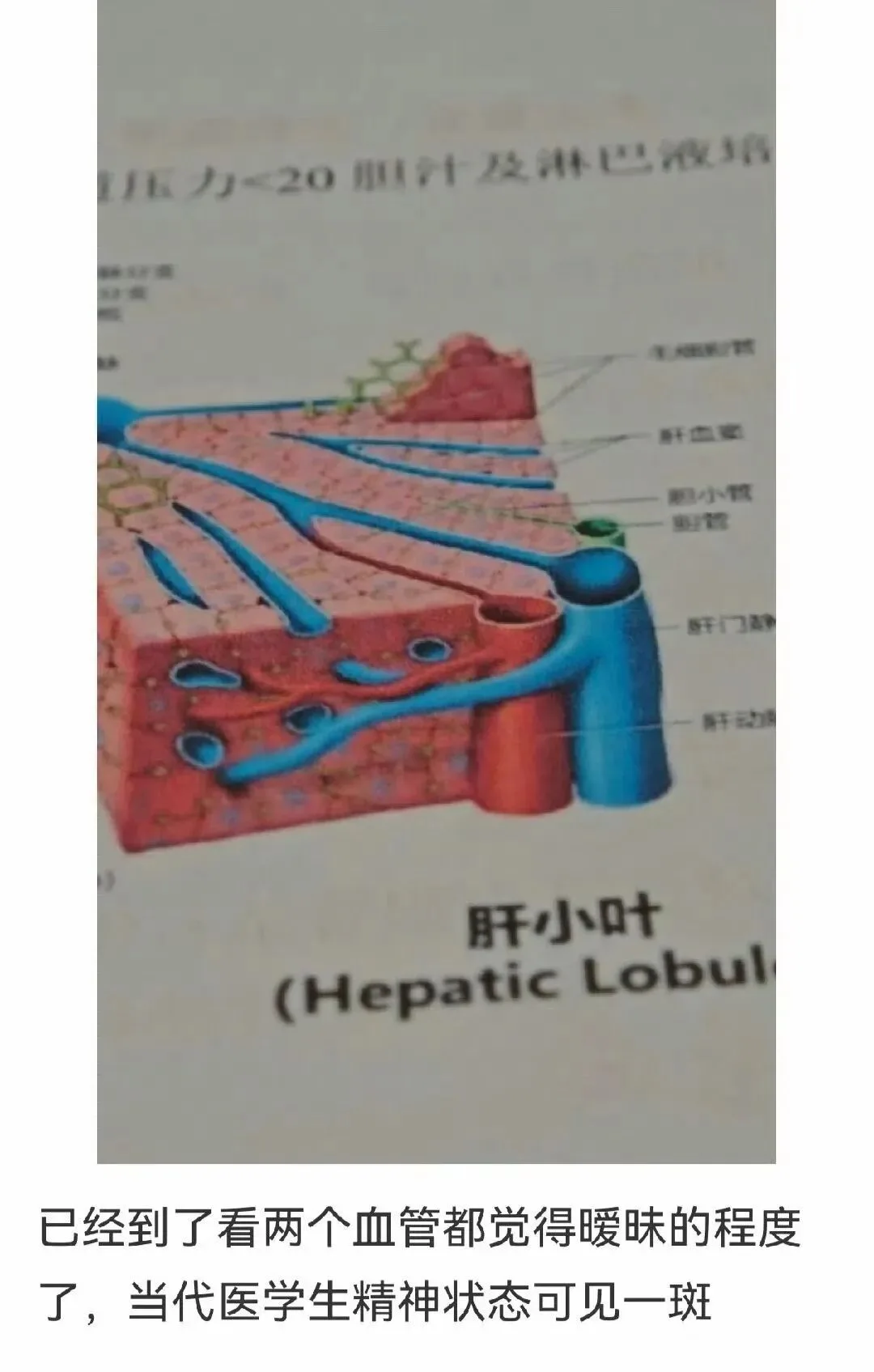 字母圈梗图抖M所有xp一次全满足… 字母圈梗图抖M所有xp一次全满足…