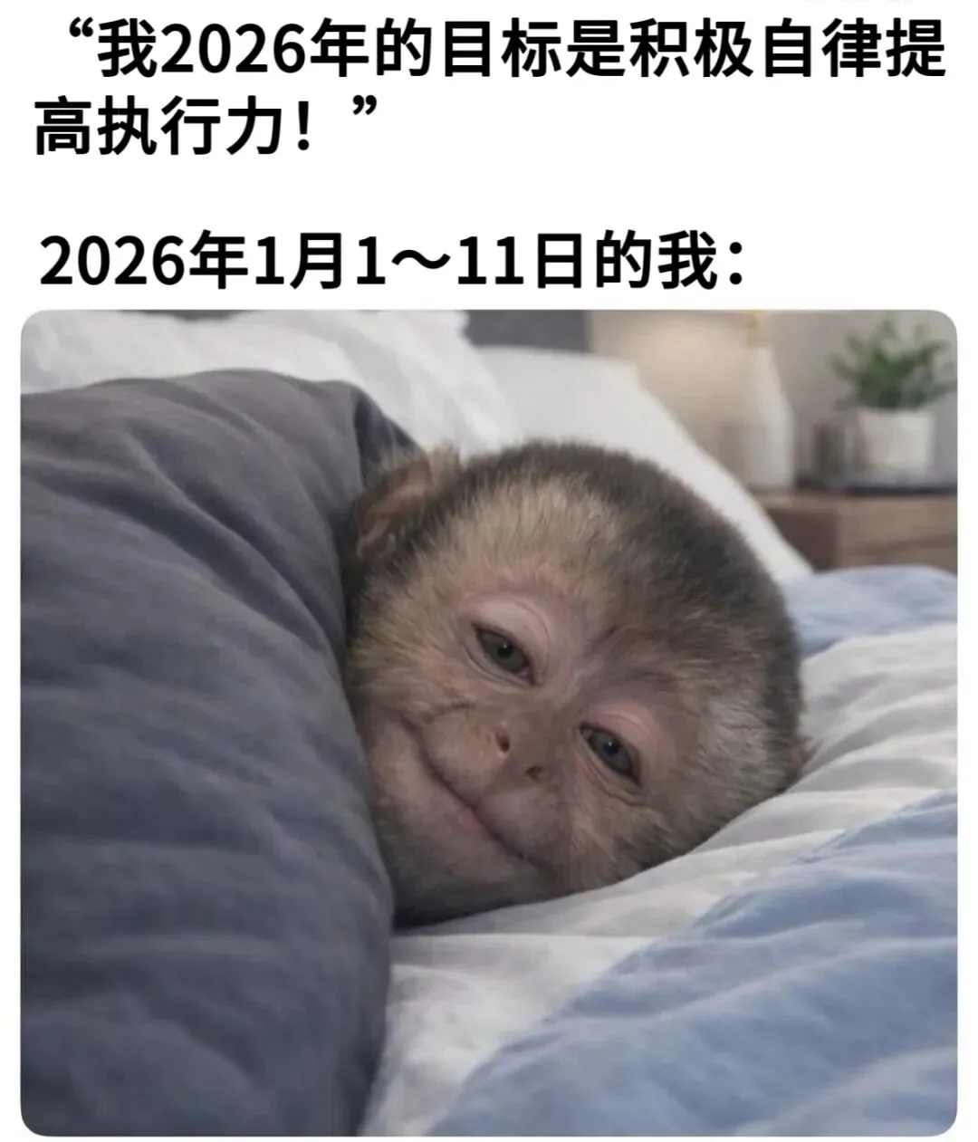 字母圈梗图抖M发烧时be like…