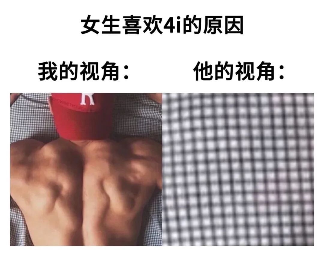 字母圈梗图顶级4i观景位