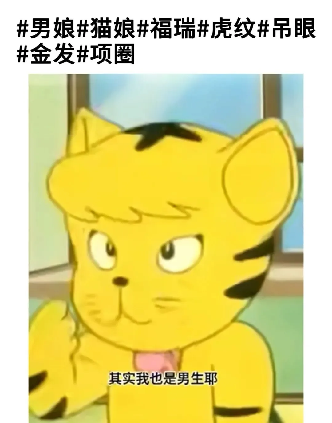 字母圈梗图顶级4i观景位