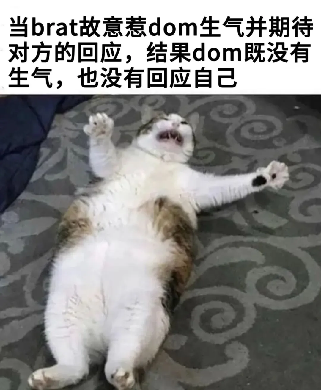 字母圈梗图抖M所有xp一次全满足… 字母圈梗图抖M所有xp一次全满足…