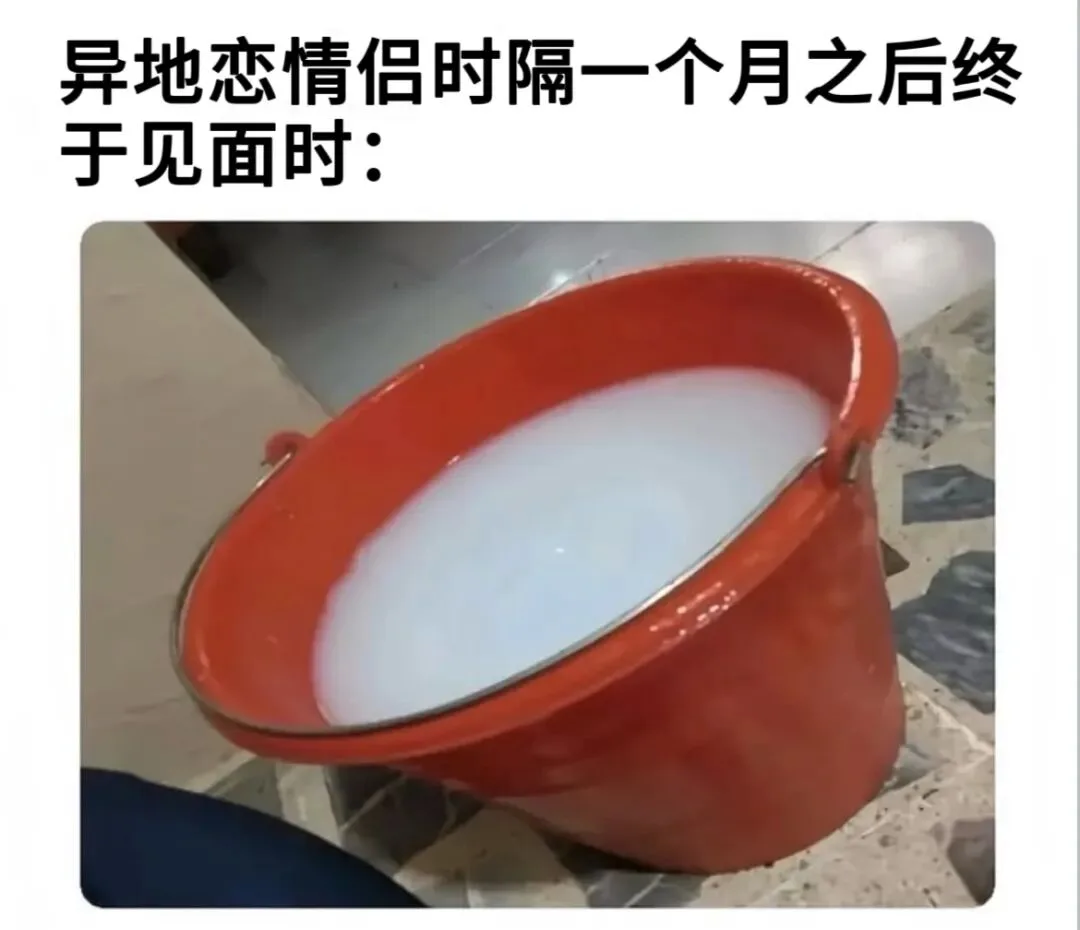 字母圈梗图顶级4i观景位