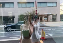 字母圈从M属性到Switch转变-瘾欢