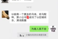 我要在宠物扮演里加上这一项!-瘾欢