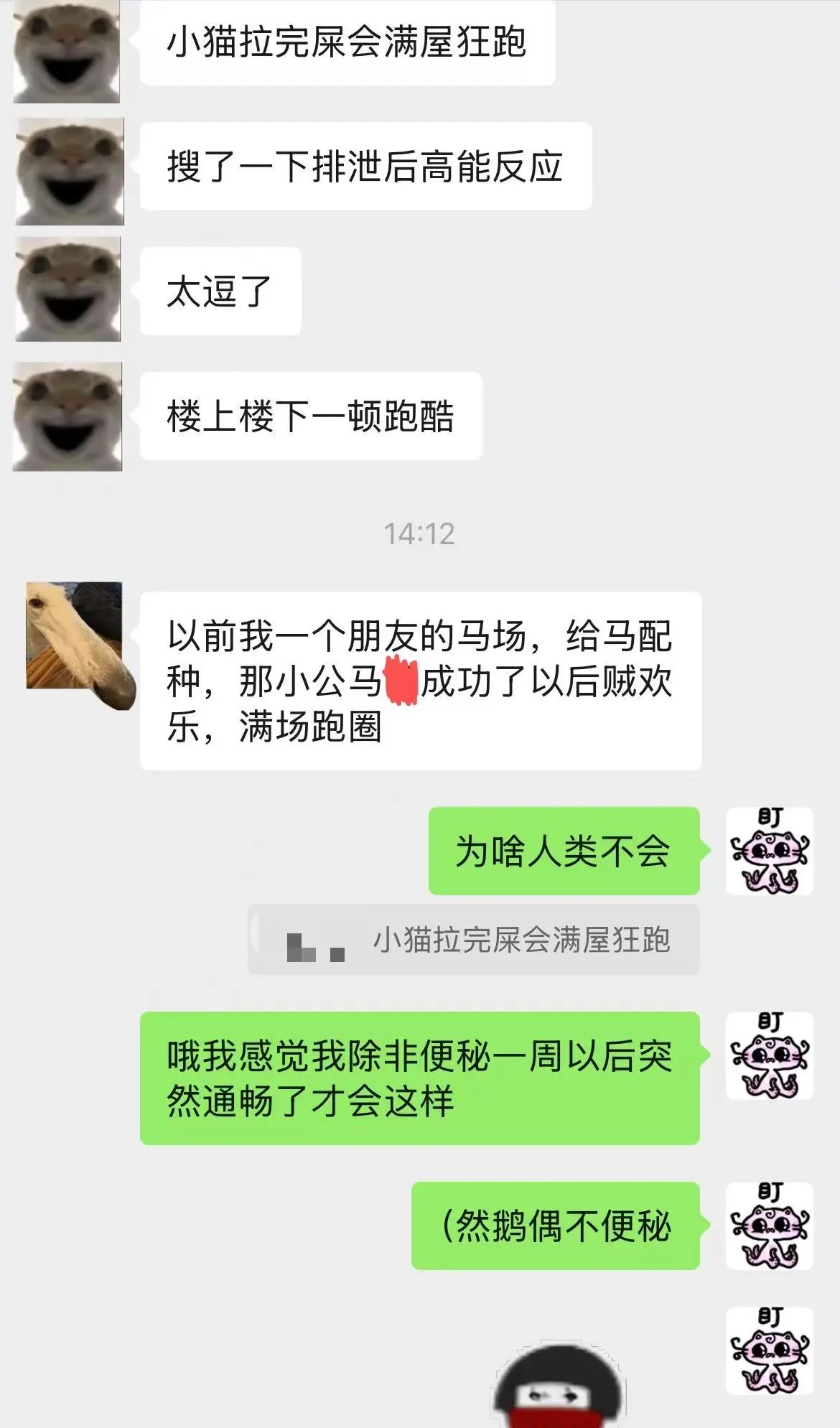 我要在宠物扮演里加上这一项！