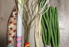 “邪恶年货”盘点：豆橛子散鞭实测如何？-瘾欢