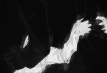 字母圈如何驯服一只猫？-瘾欢