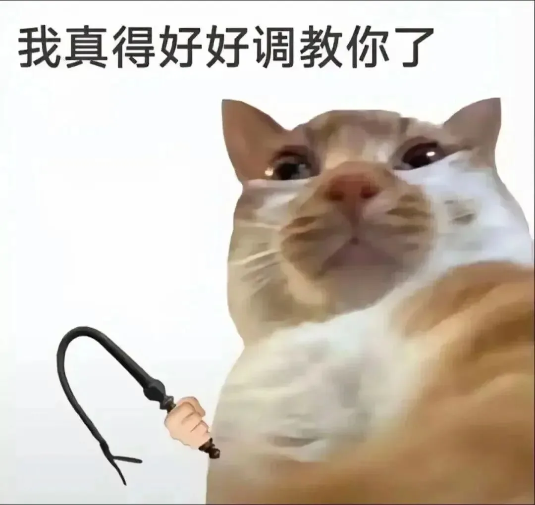 猫咪表情包欠调教- 抖音